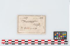Etikett zu Bronzebrillenfibel (NHMW-PRAE-002267)